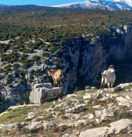 Photos of the Valle de Rodellar Aparthotel