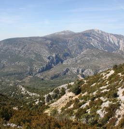 Photos of the Valle de Rodellar Aparthotel